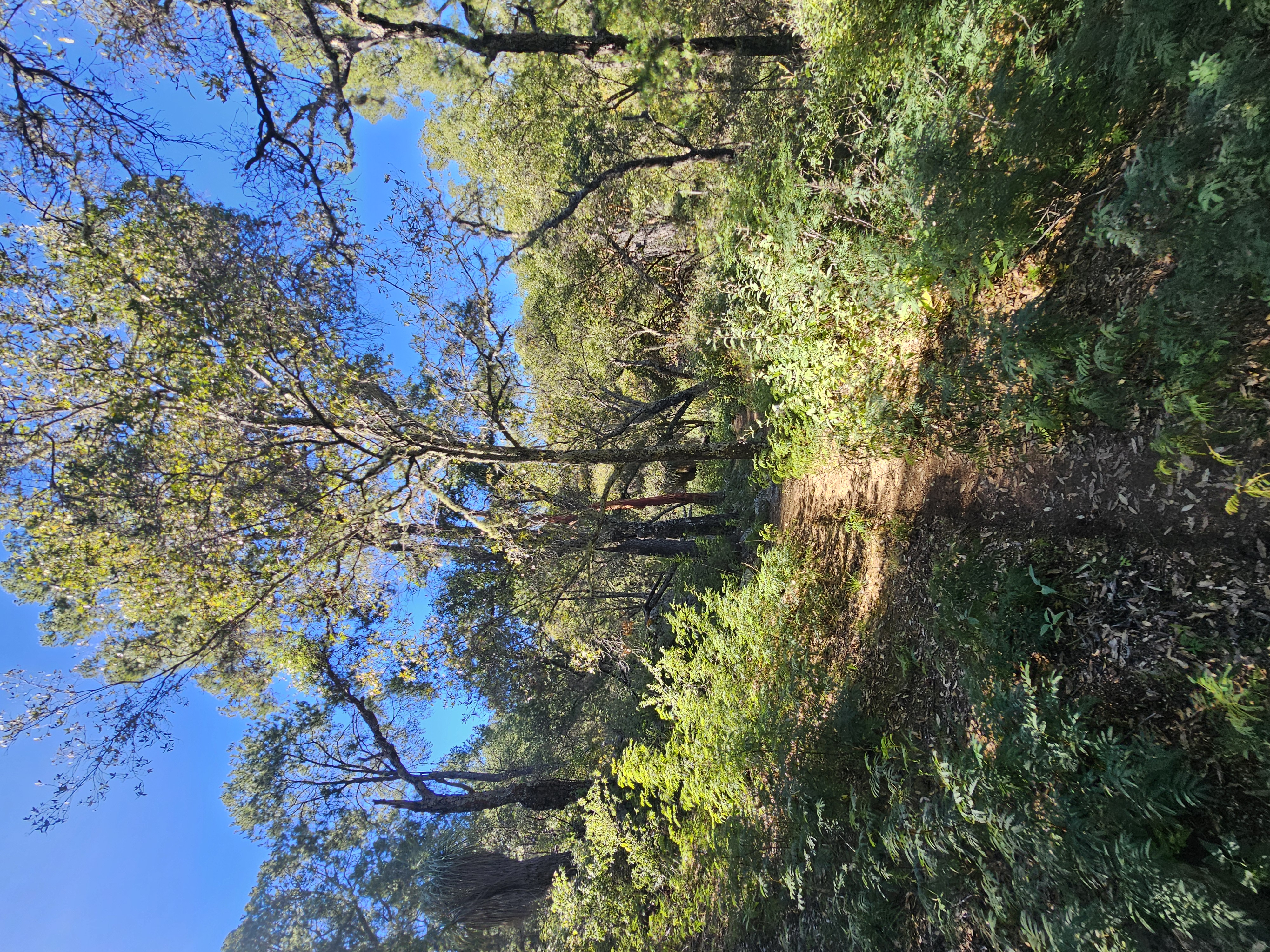 Sierra Laguna Biosfera